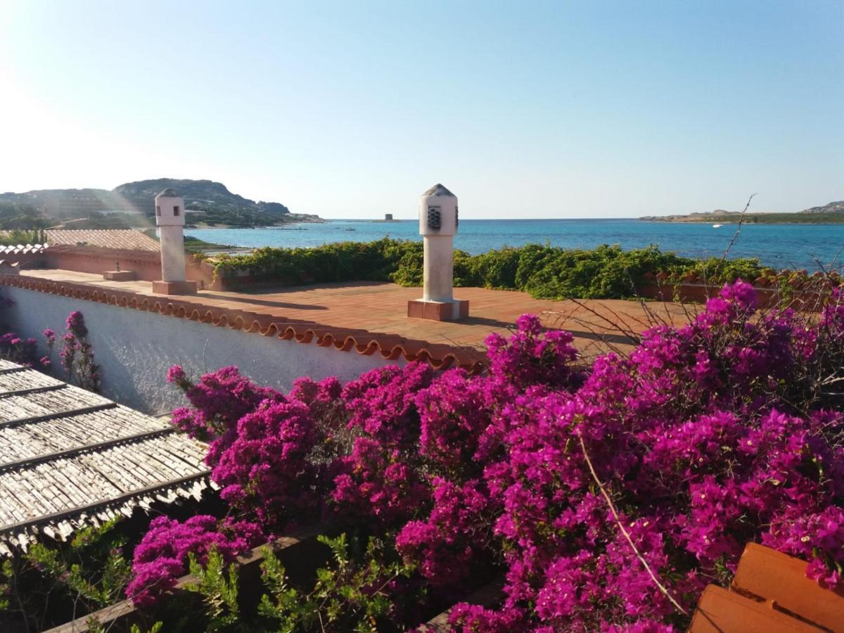 Villa Curiazzi Guesthouse Viale La Pelosa 16 Stintino Exteriér fotografie