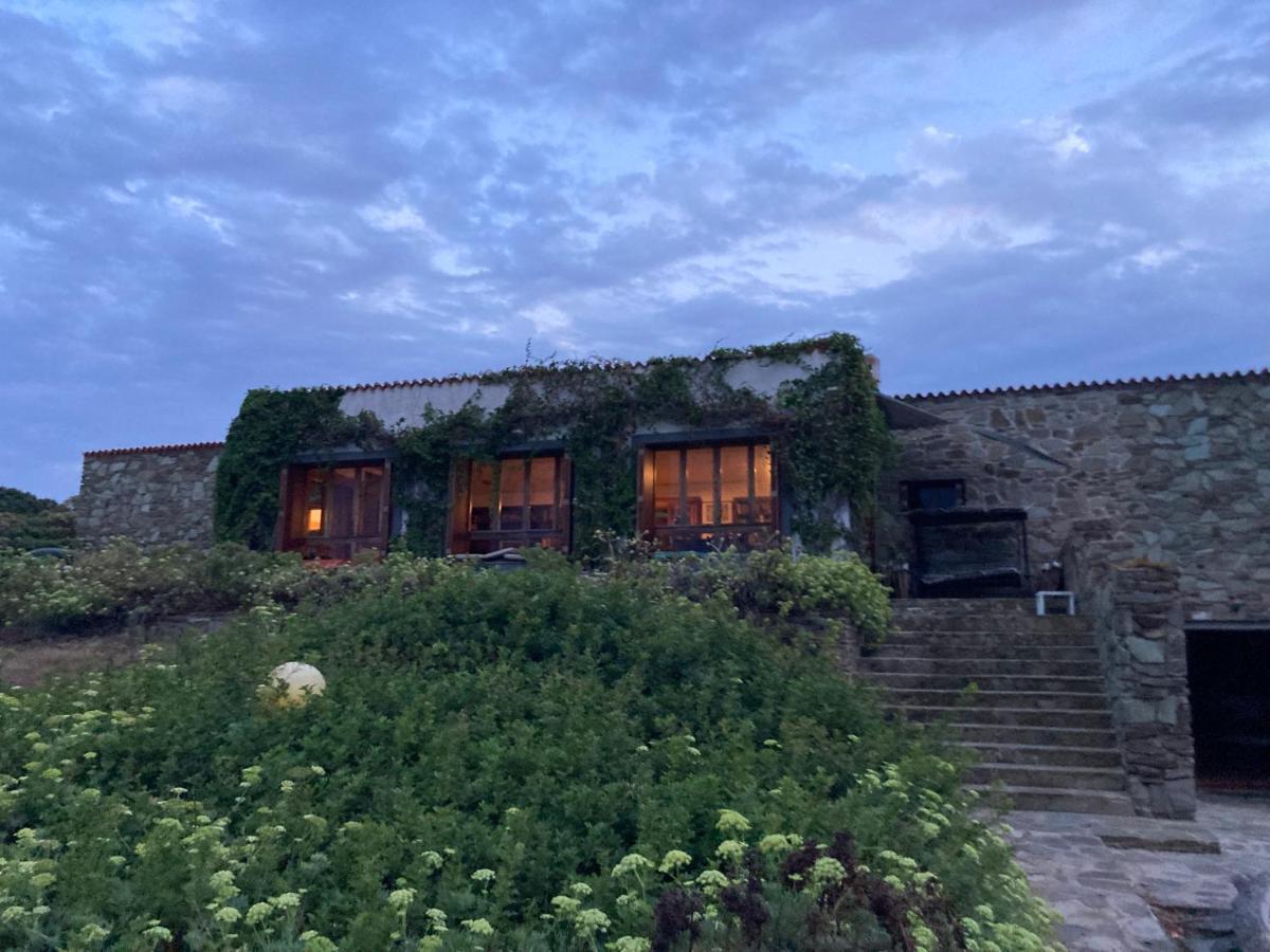 Villa Curiazzi Guesthouse Viale La Pelosa 16 Stintino Exteriér fotografie